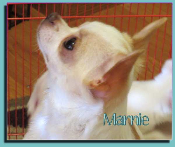 Oneway Maybe Marnie Maybe