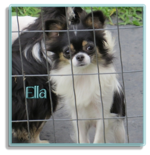 Oneway Ella Belle